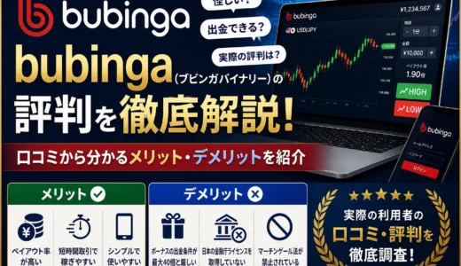 bubinga（ブビンガバイナリー）の評判を徹底解説！口コミからメリット・デメリットを紹介